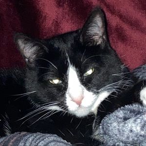 Meet your Posher, Zackery